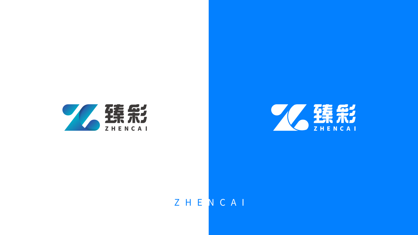 臻彩-logo设计图2