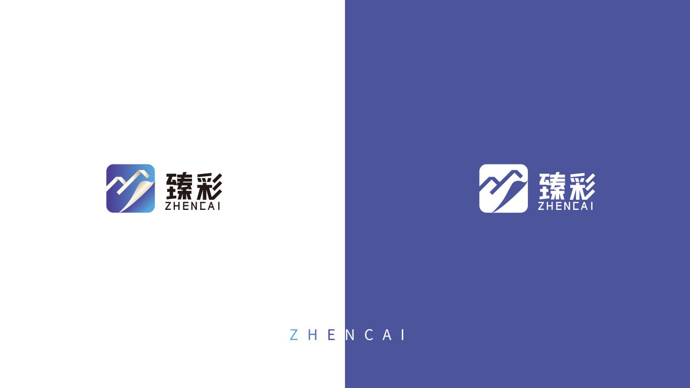 臻彩-logo设计图9