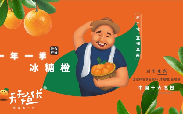 天天橙長 農產品品牌形象設計