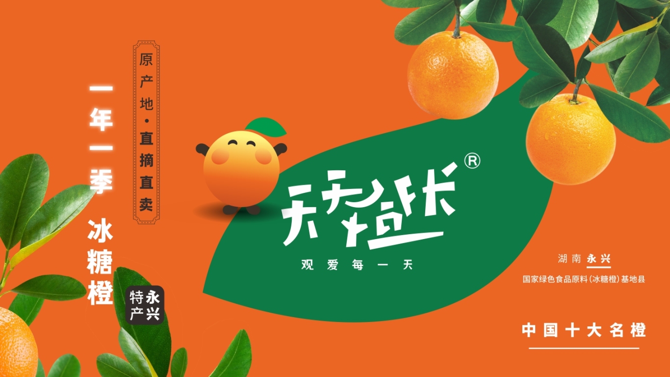 天天橙長 農產品品牌形象設計圖9