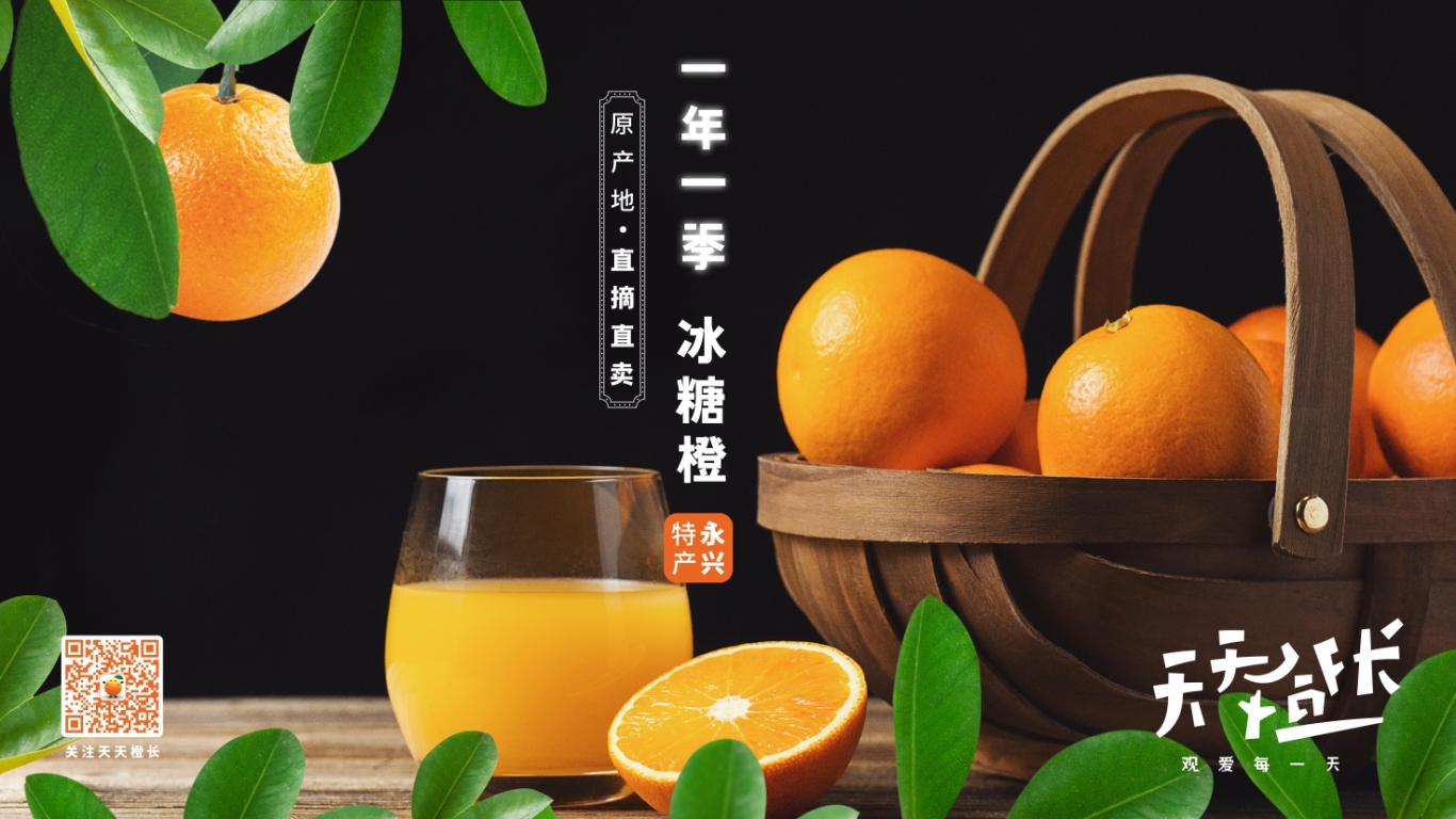 天天橙长 农产品品牌形象设计图8