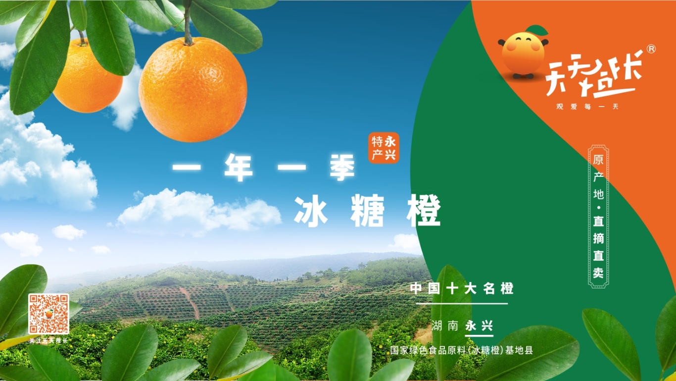 天天橙长 农产品品牌形象设计图7