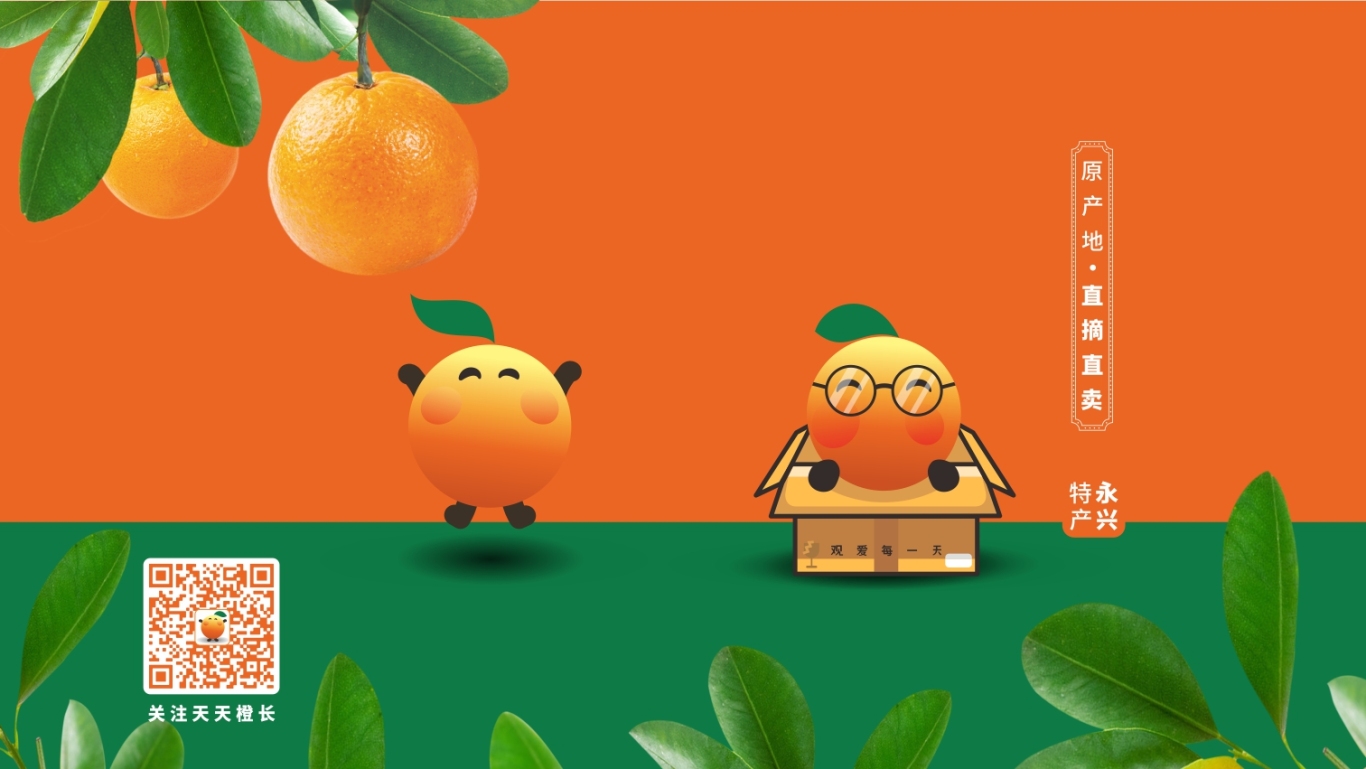 天天橙长 农产品品牌形象设计图5