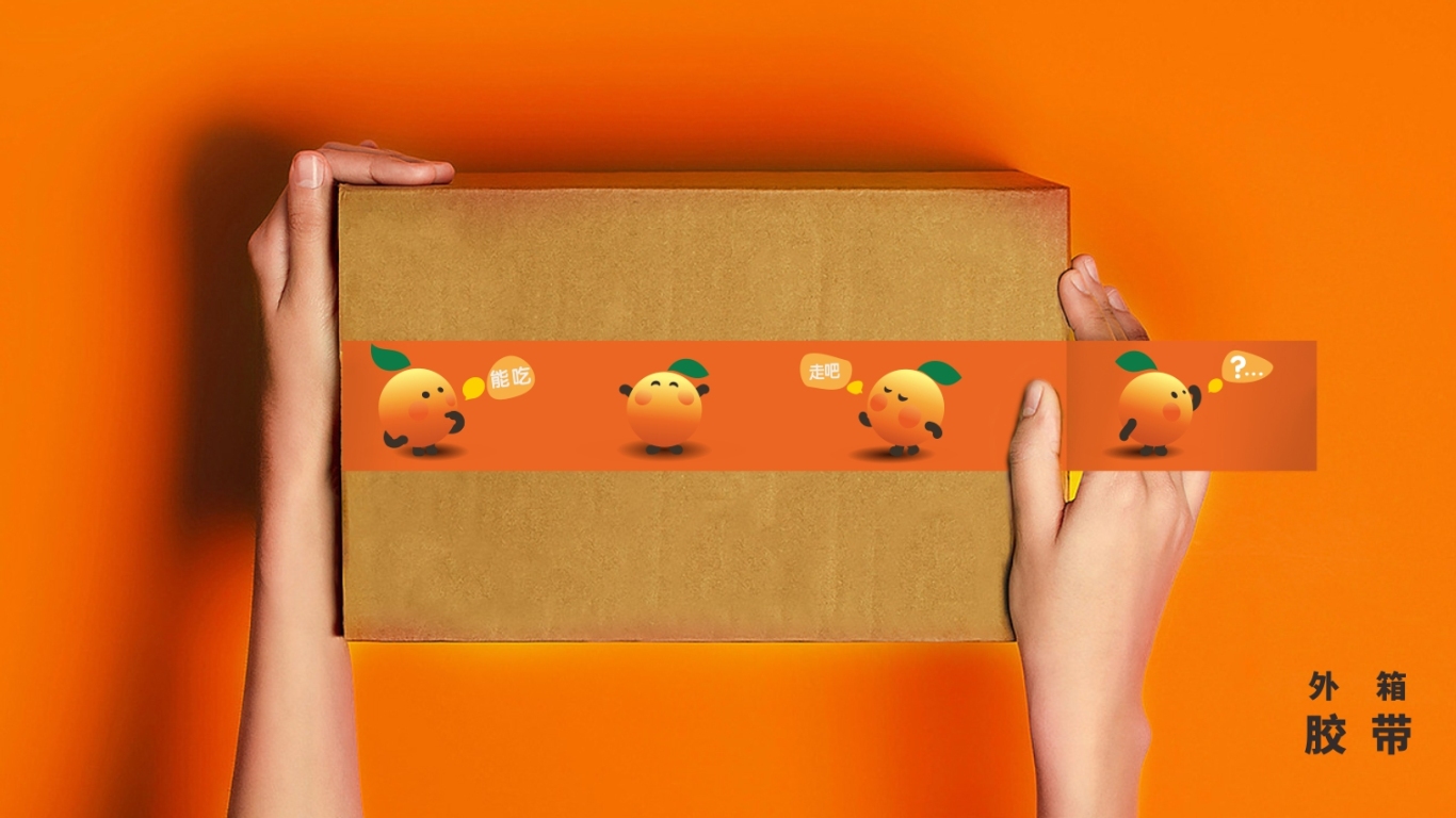 天天橙長 農產品品牌形象設計圖11