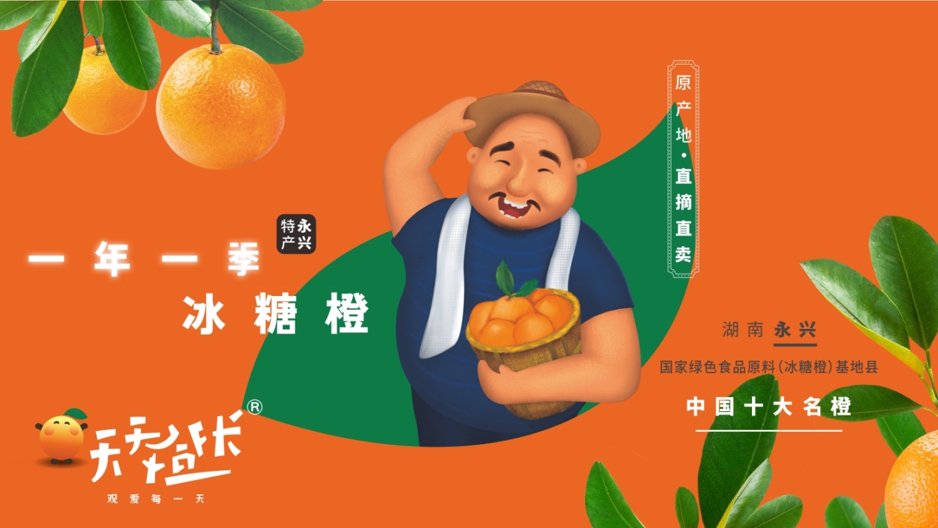 天天橙长 农产品品牌形象设计图10