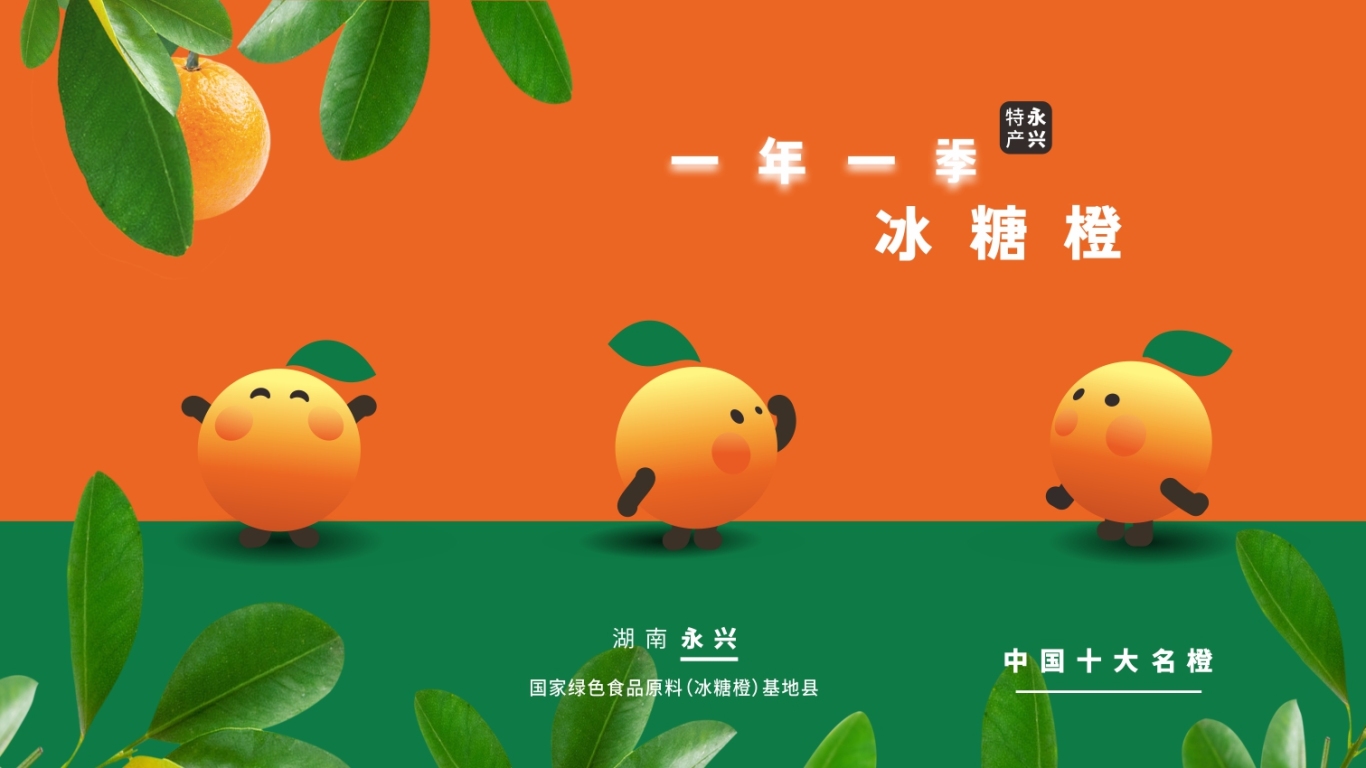 天天橙長 農產品品牌形象設計圖3