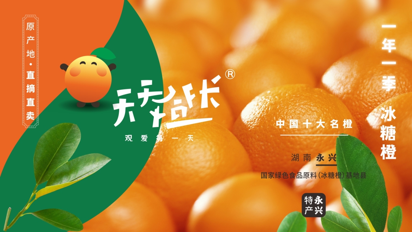 天天橙長 農產品品牌形象設計圖6