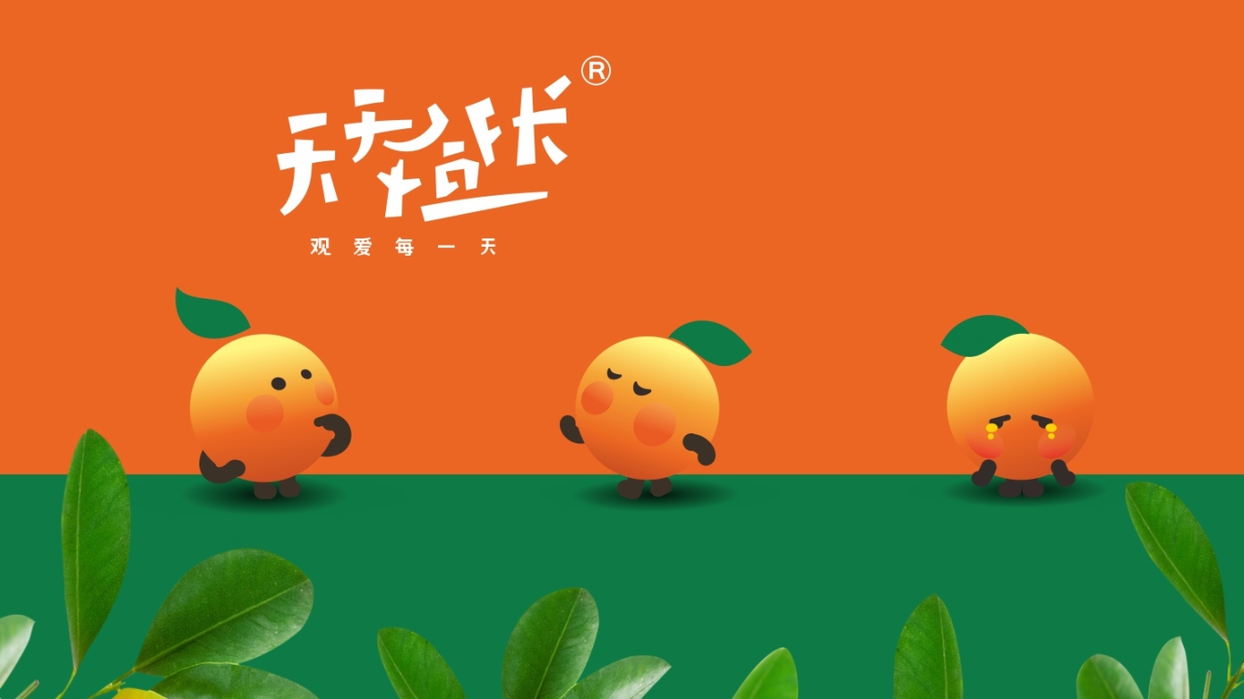 天天橙長 農產品品牌形象設計圖4