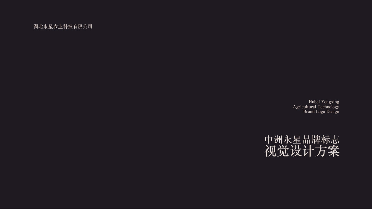 中洲永星logo创意提案图0