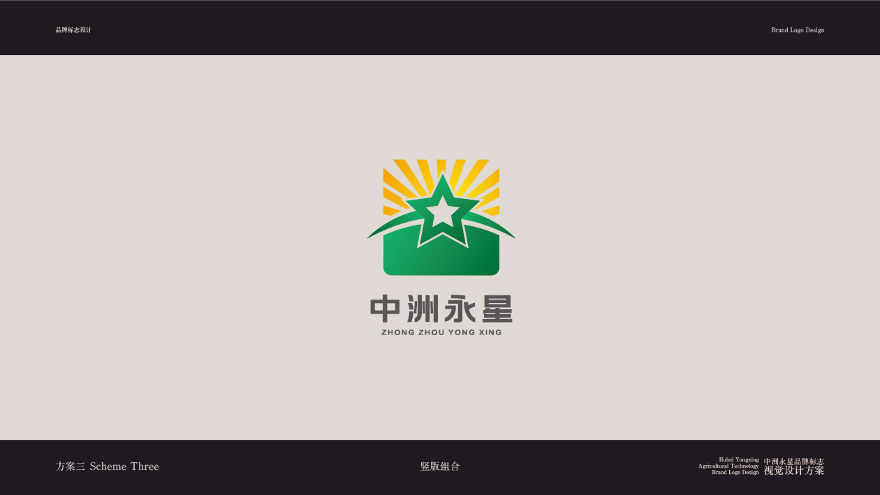 中洲永星logo创意提案图24