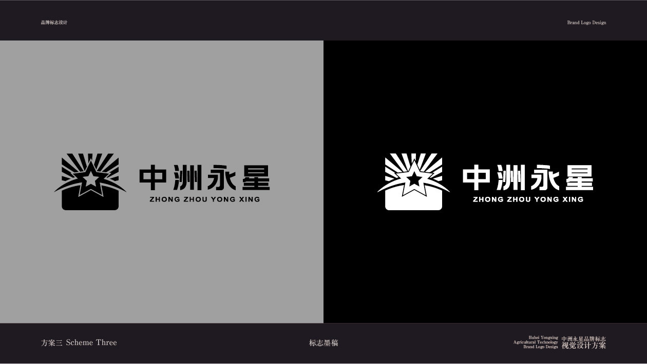 中洲永星logo创意提案图27