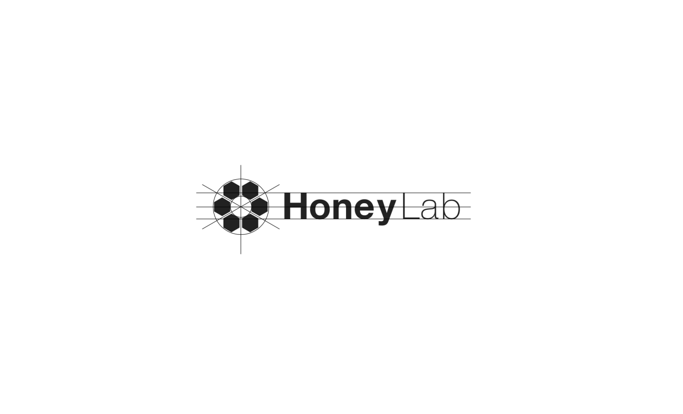 honeylab包装+LOGO设计图1