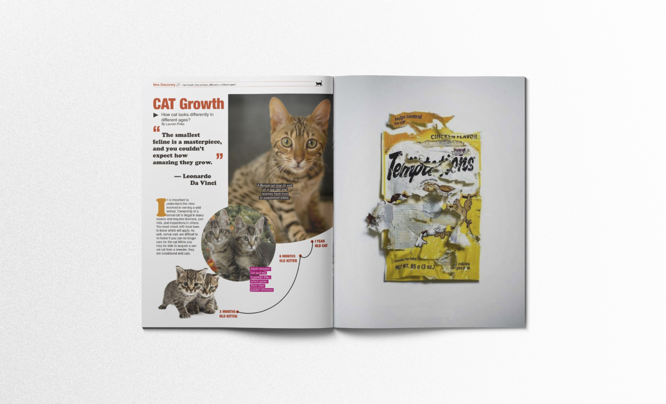 《每日猫咪》书籍设计图1