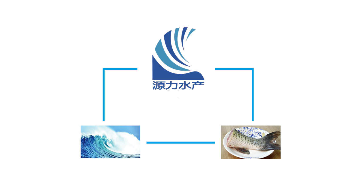 源力水产logo设计图2