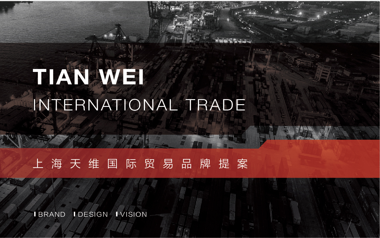 天维国际贸易logo图0
