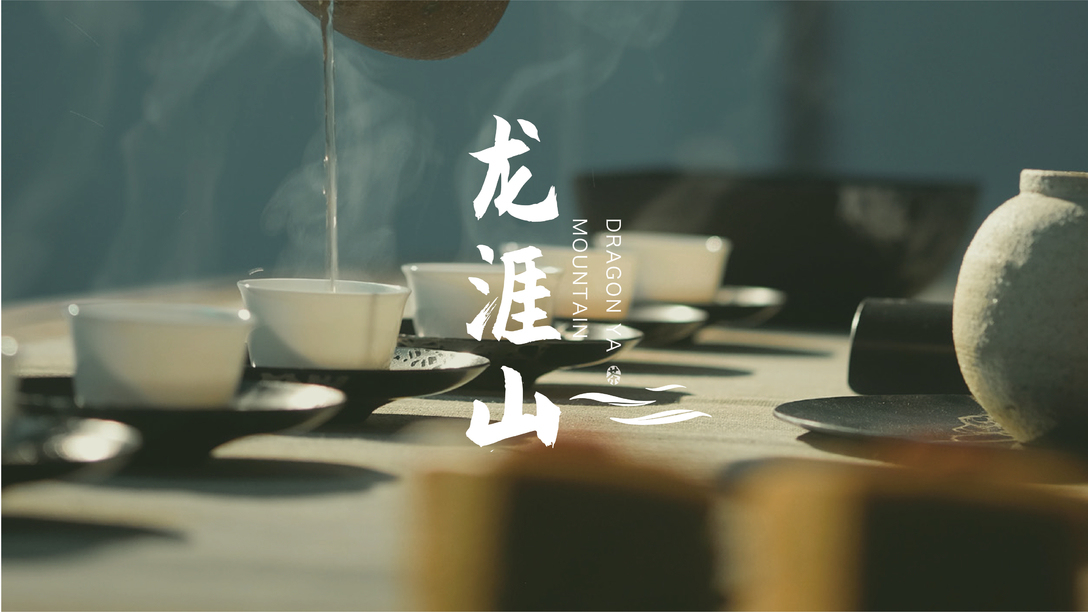 龙涯山 茶叶品牌设计图13