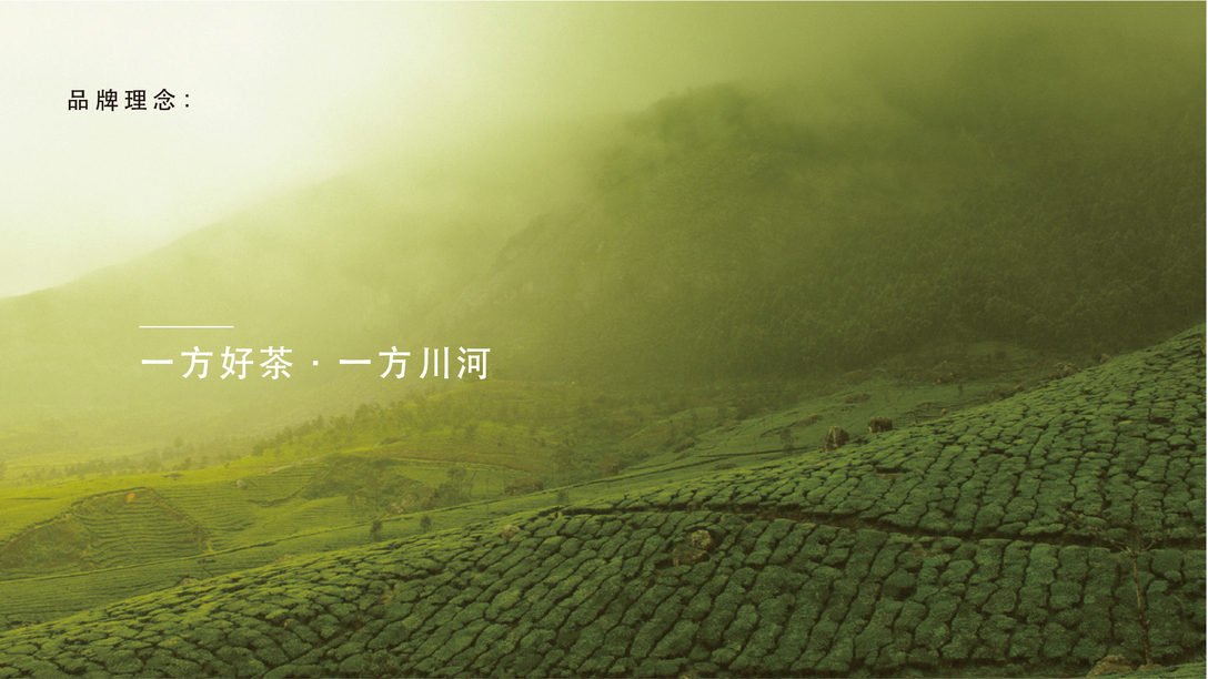 龙涯山 茶叶品牌设计图1