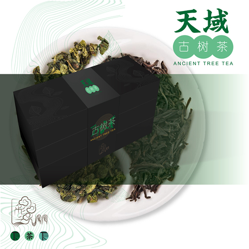 云南古树茶品牌VI设计图31
