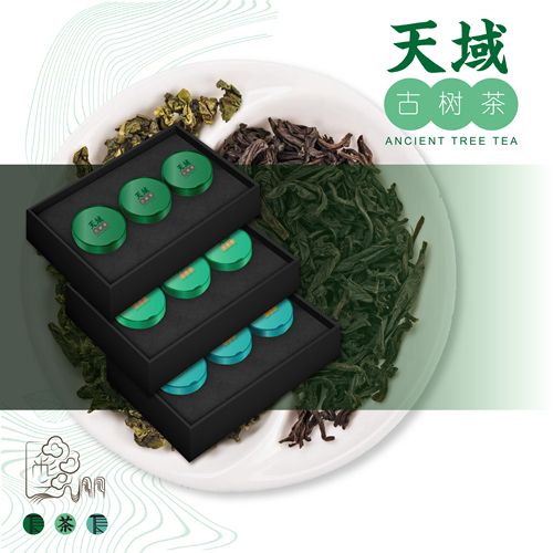 云南古树茶品牌VI设计图30