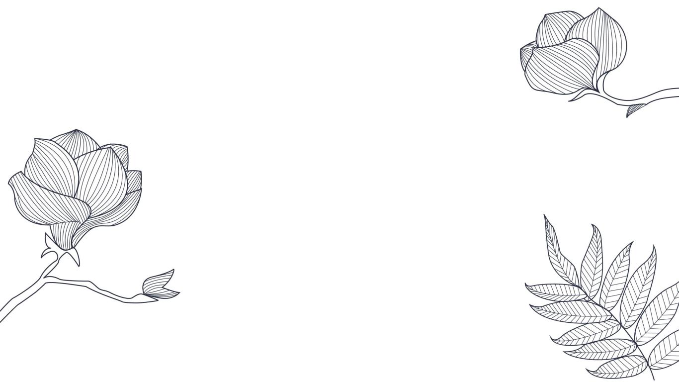 猫小燕燕窝品牌logo设计图22
