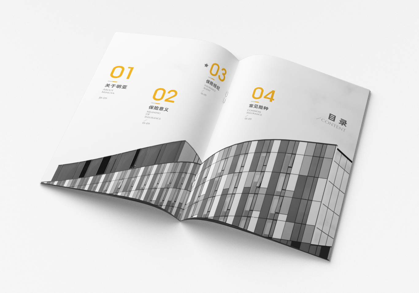 广州明亚保险宣传画册设计图0