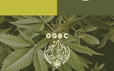 ogbc logo设计