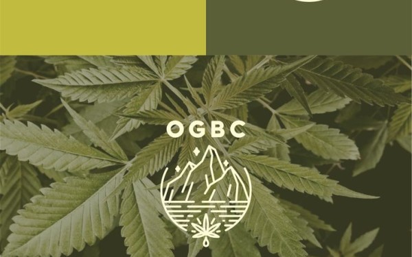 ogbc logo设计