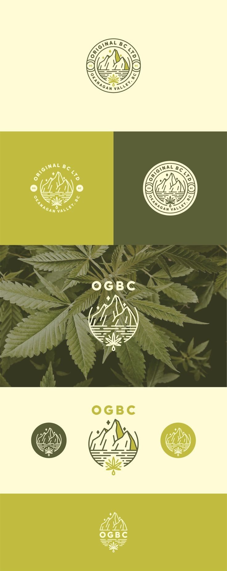 ogbc logo设计图0
