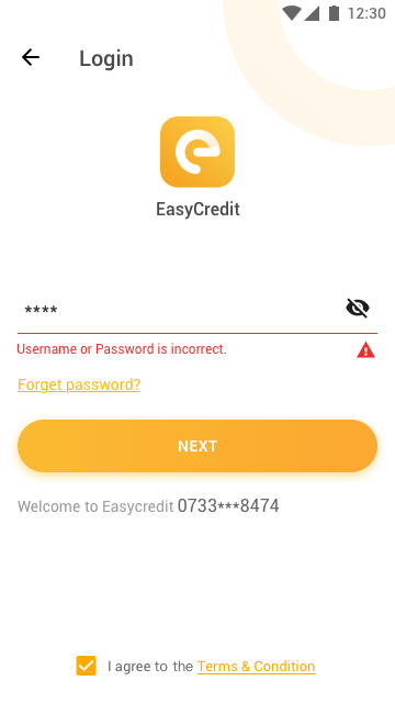 EasyCredit（尼日利亚海外金融借贷类app已上线）图22