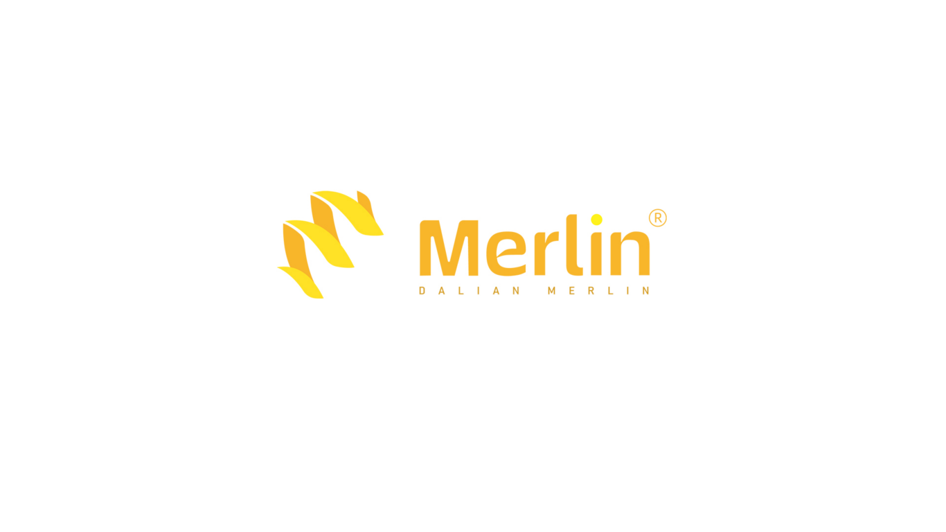merlin科技logo设计图1