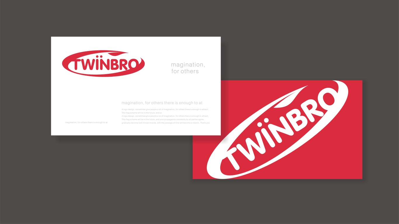 TWINBRO海外调料食品类LOGO设计中标图2