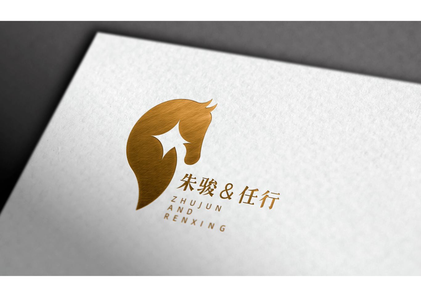 朱骏&任行投资公司logo设计图8