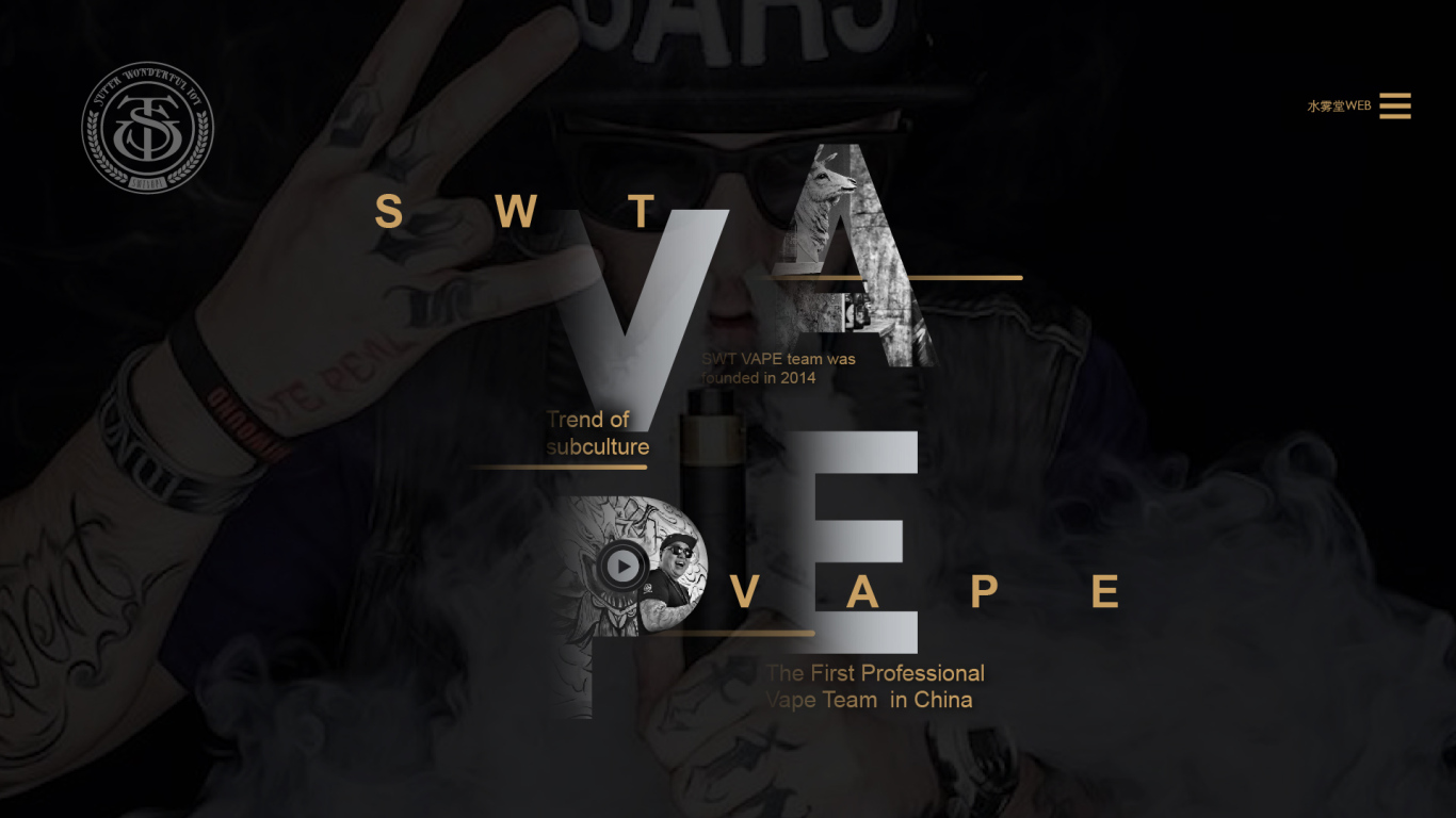 SWT-WAPE-视觉形象宣传设计图1
