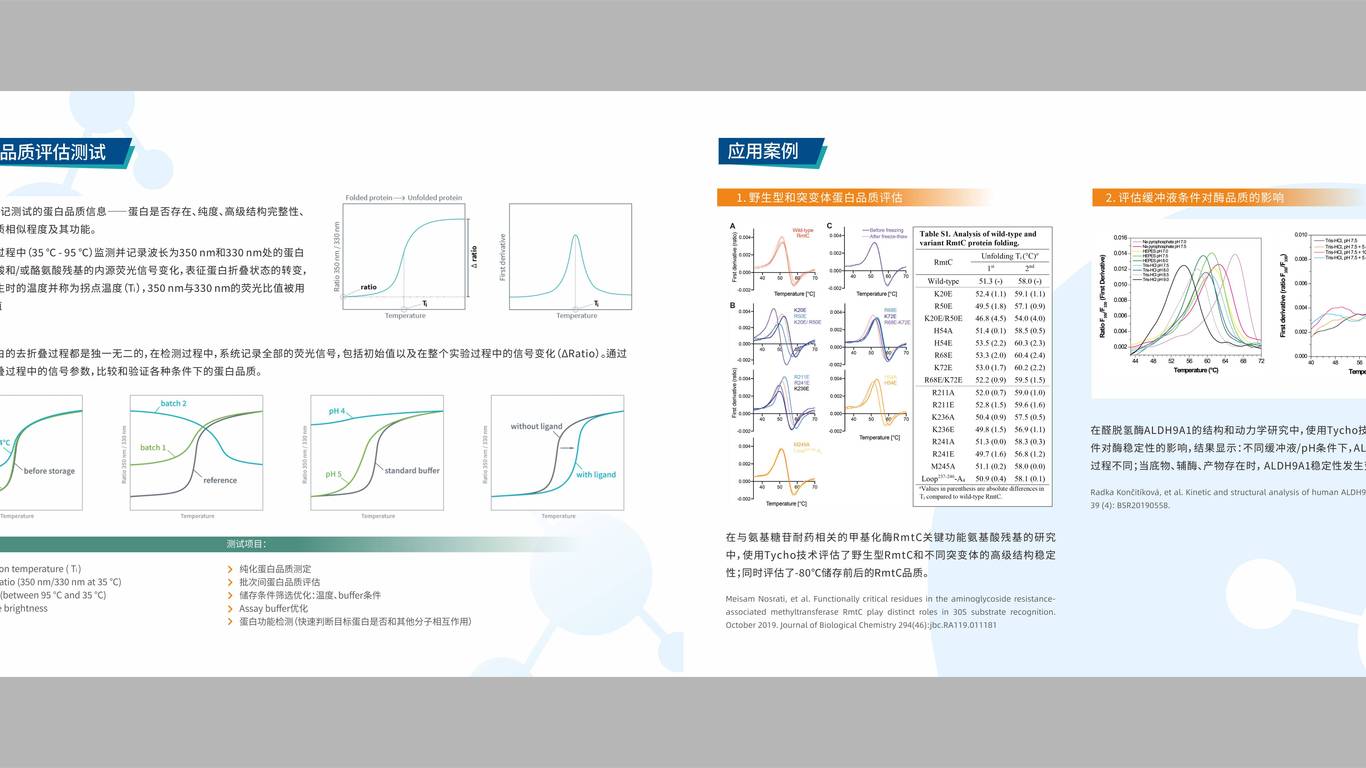 魔因科技折页设计中标图2