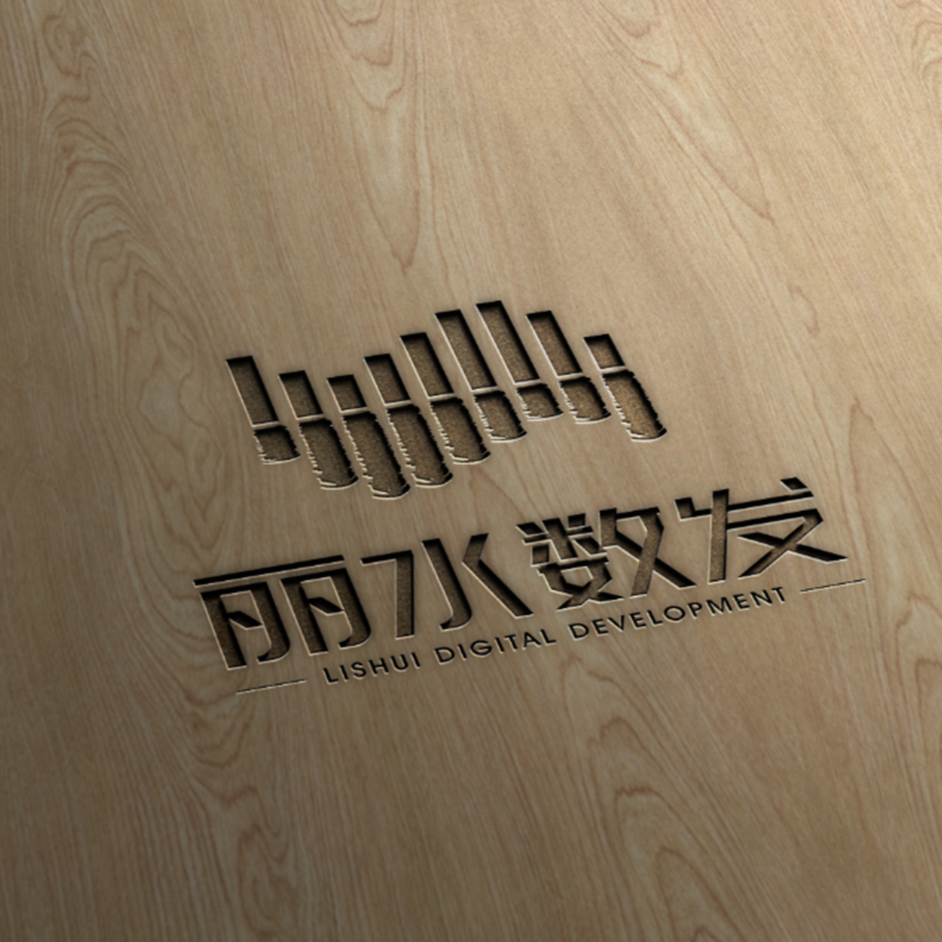 丽水数发LOGO设计图1