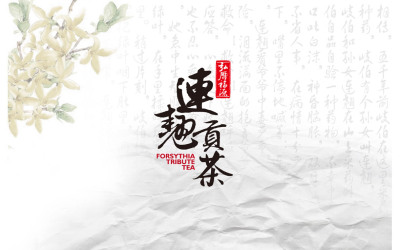 北京广天智恒文化传媒有限公司 连翘贡茶包装设计