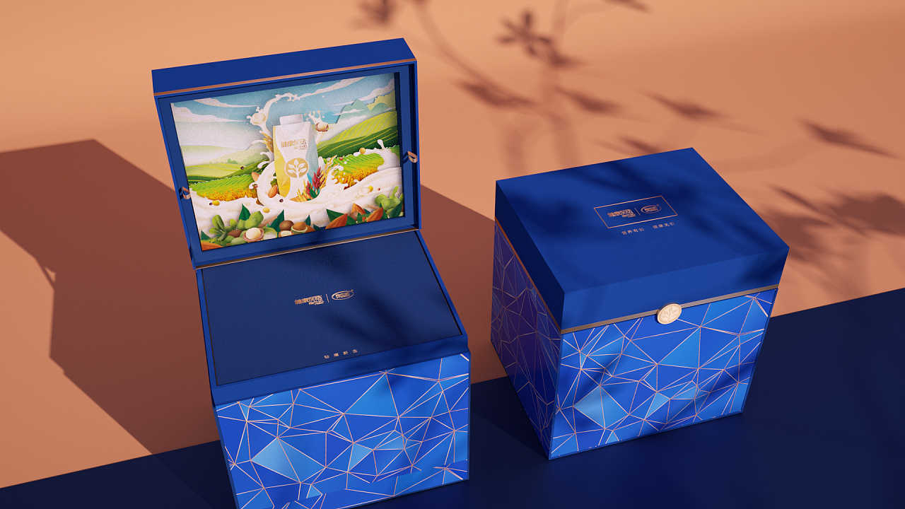维他奶 | 礼盒 包装设计图2