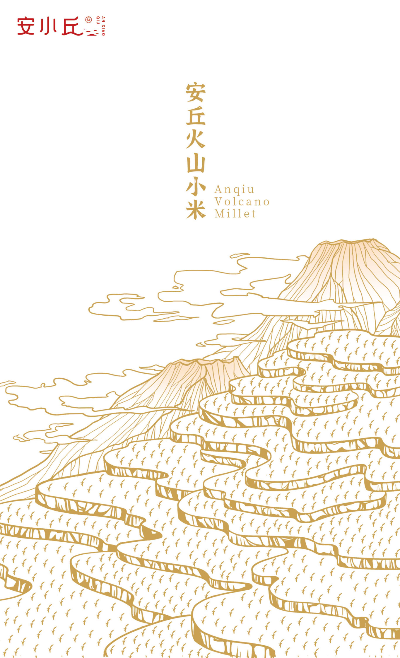 安小丘火山小米包装设计图3