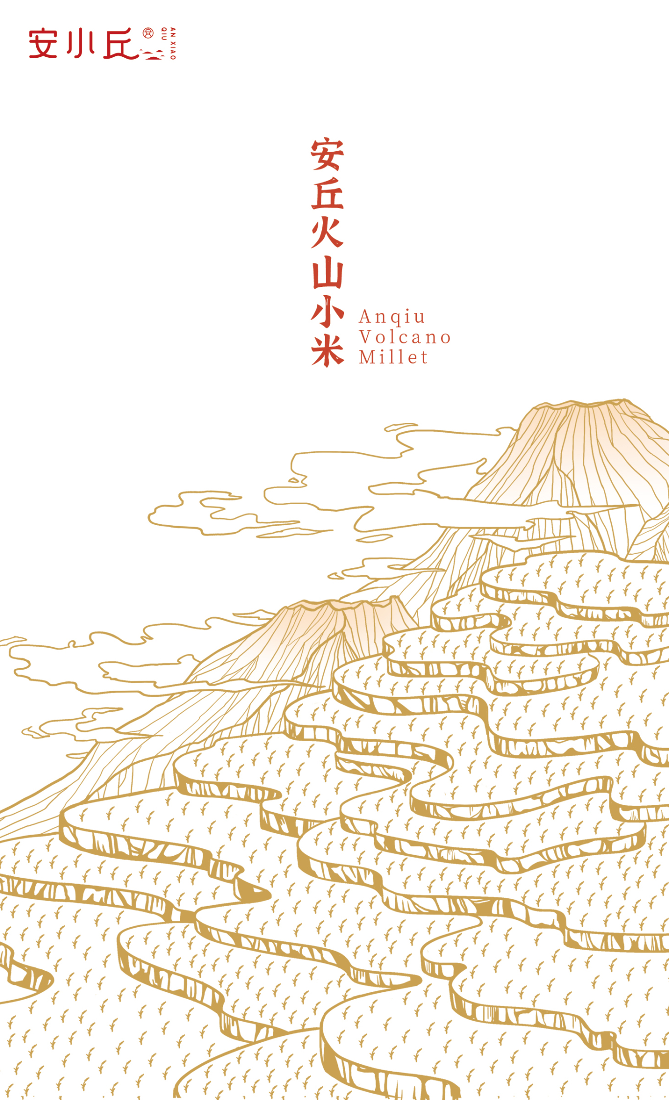 安小丘火山小米包装设计图5