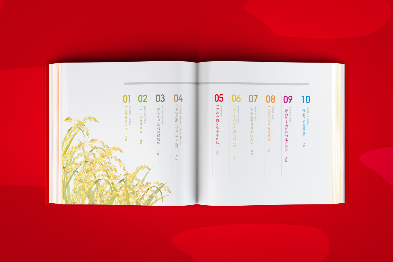 溢香园米业企业宣传册设计图1