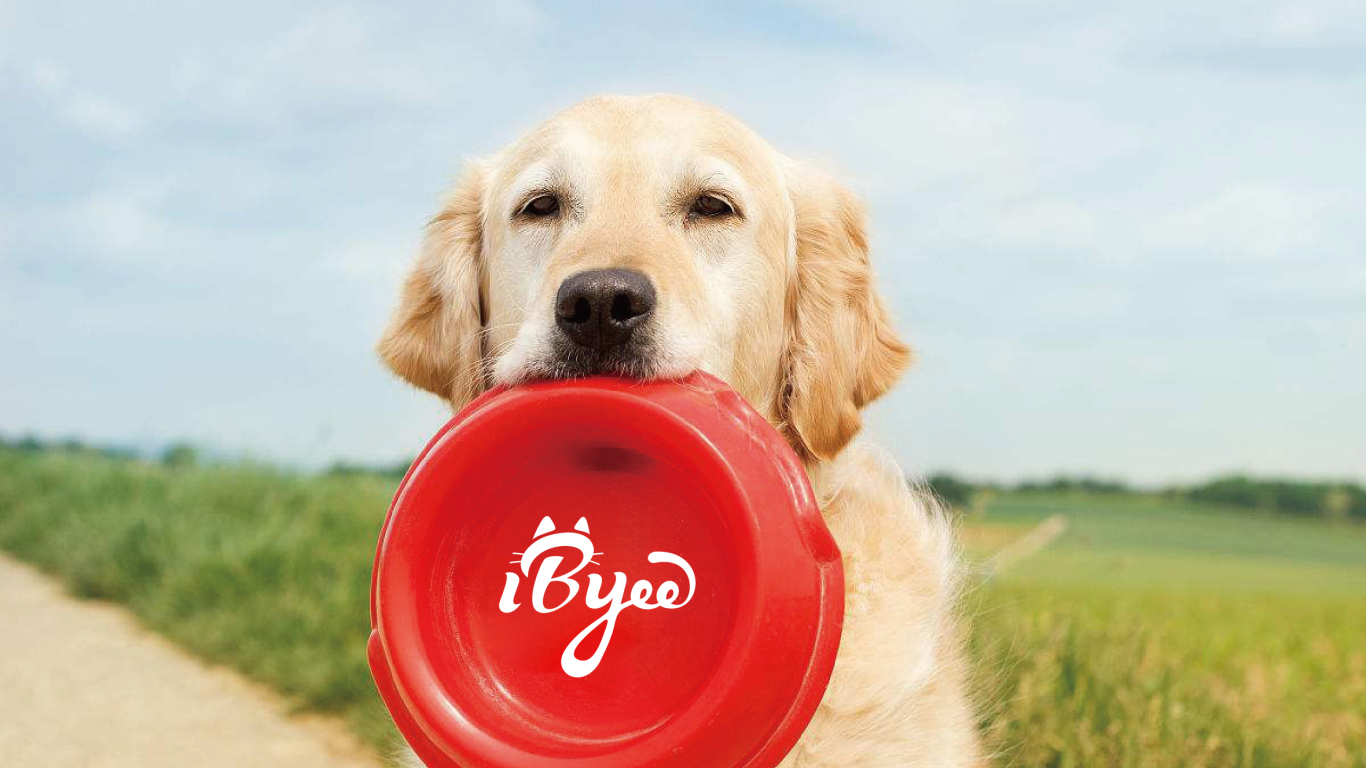 IBYEE宠物食品品牌商标设计中标图14