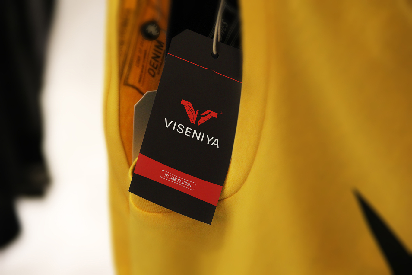 维舍尼亚-服装品牌形象vi设计图1