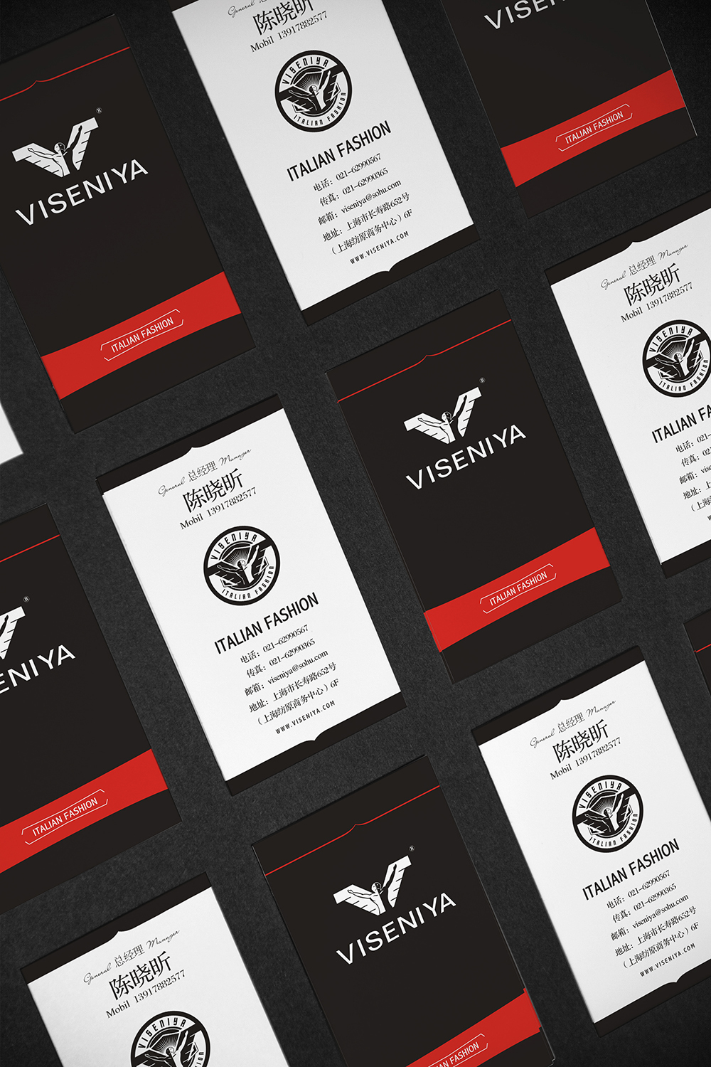 维舍尼亚-服装品牌形象vi设计图2
