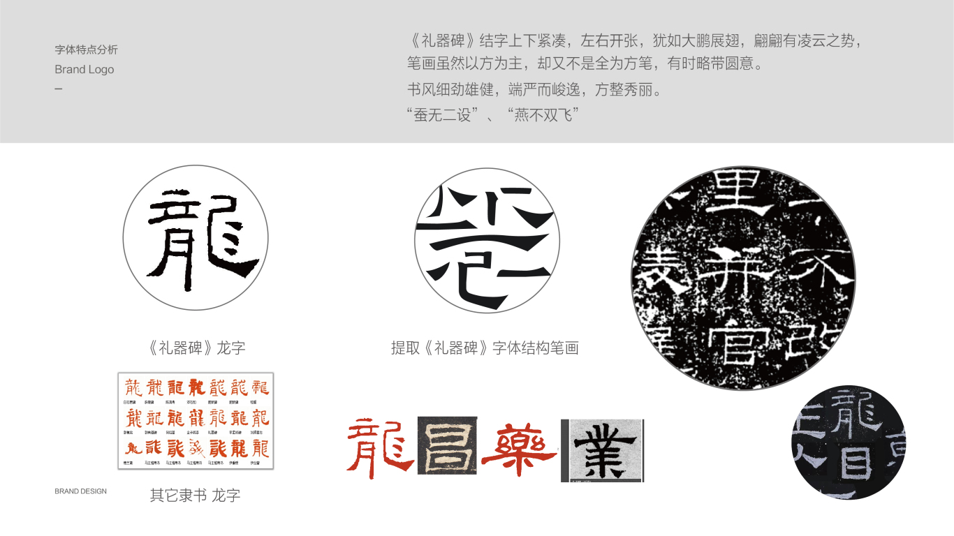 龍昌藥業医疗品牌LOGO设计中标图2