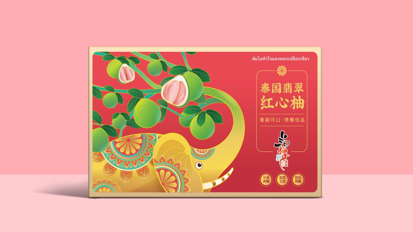 兰168柚子水果品牌包装设计中标图0