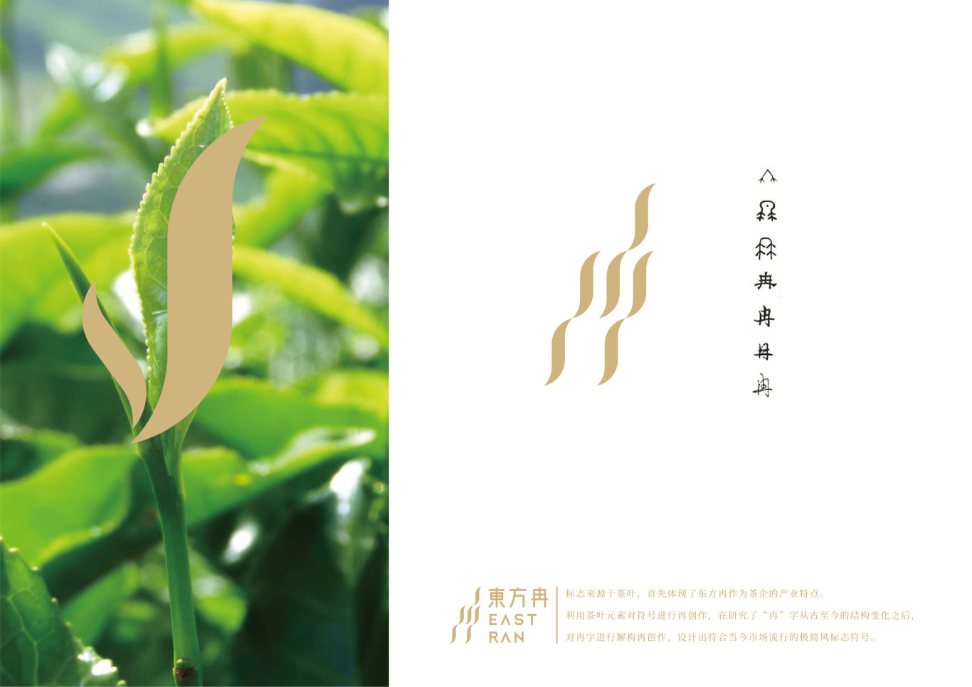 東方冉茶叶品牌logo设计图1