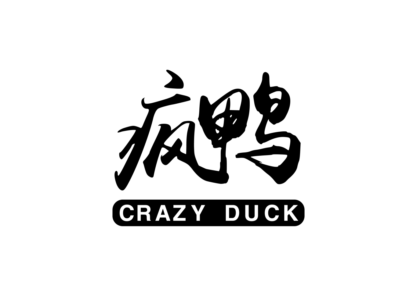 疯狂的鸭子VI的宣传品设计图2