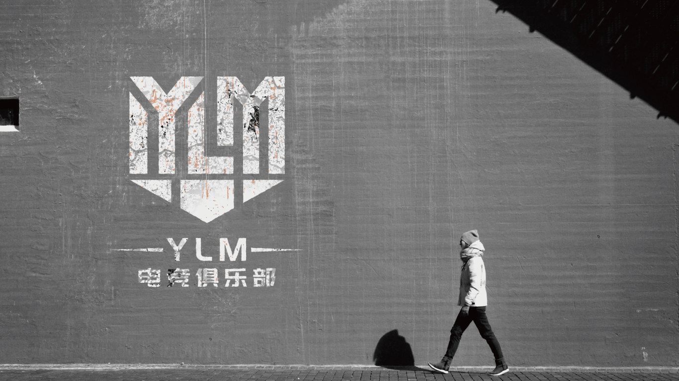 YLM电竞俱乐部电竞类LOGO设计中标图9
