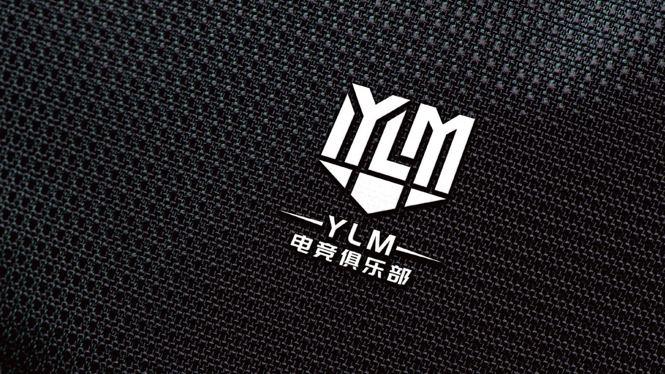 YLM电竞俱乐部电竞类LOGO设计中标图4