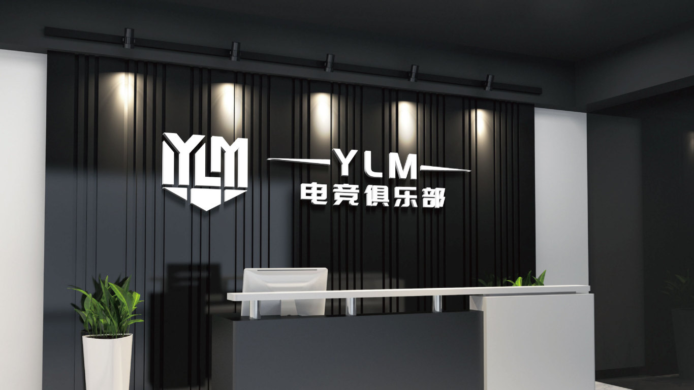 YLM电竞俱乐部电竞类LOGO设计中标图6